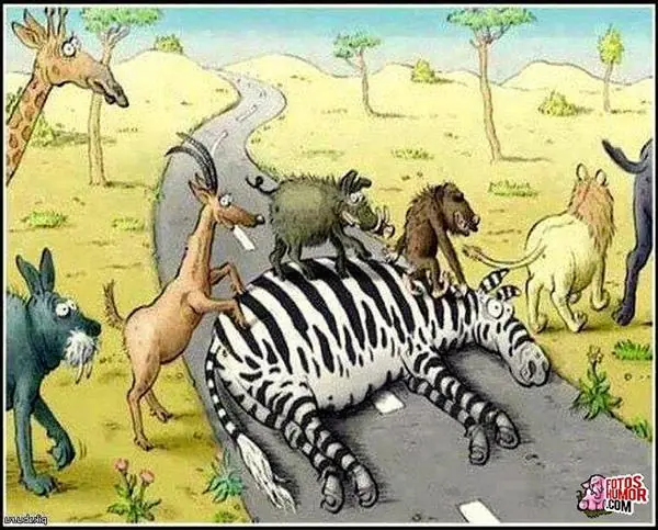 imagenes divertidas