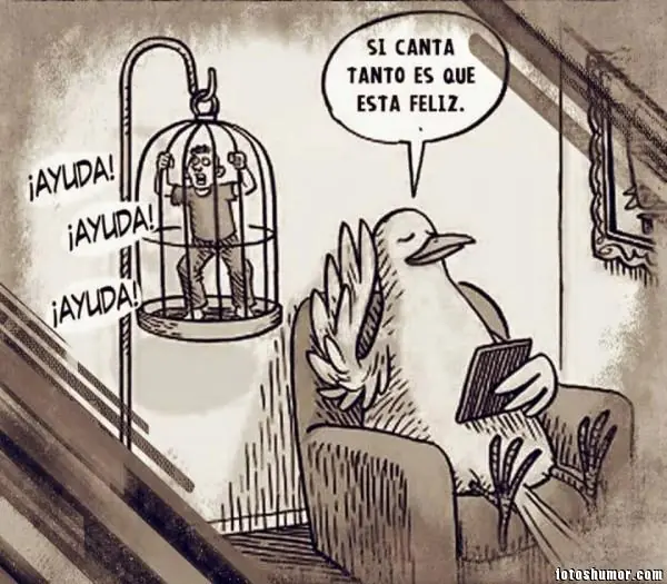 humor