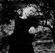 Kung fu Do Pi - choy lee fut (Sur de china)