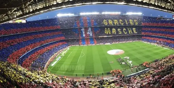 pecheadora cosmica