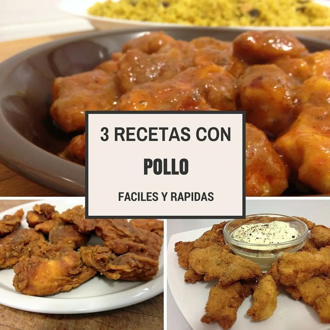 3 recetas con pollo facilisimas!!