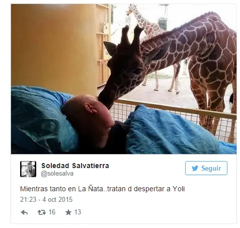 Burlas hacia Scioli por su cobardía en las redes