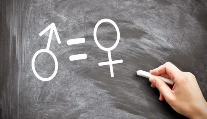 El Igualitarismo De Género Degenera