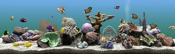 Serene Marine Aquarium 3 Full