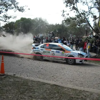 loeb