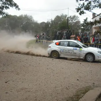 loeb