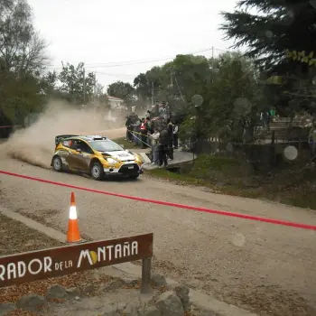 loeb