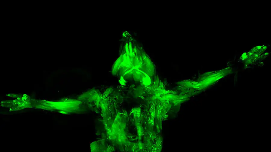 Cientificos crean ratones transparentes e invisibles