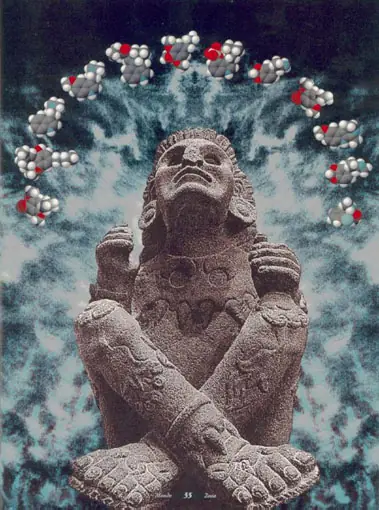 10 plantas de poder mexicanas