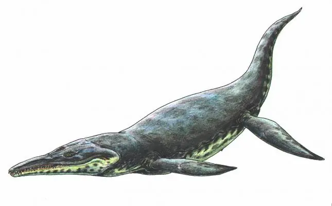 10 criaturas mas monstruosas de los mares prehistoricos 10 criaturas mas monstruosas de los mares prehistoricos
