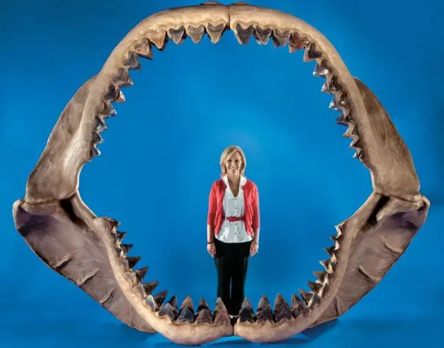 10 criaturas mas monstruosas de los mares prehistoricos