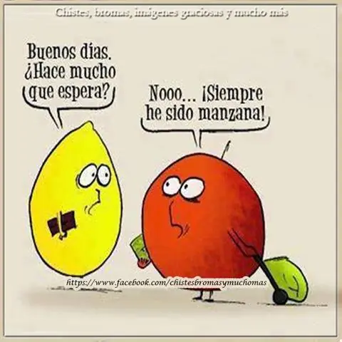 Reir...Pensar...Reir (24)