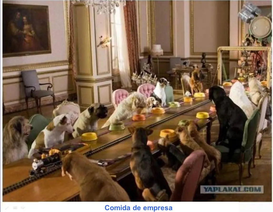 empleados