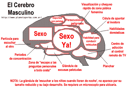 Humor Grafico