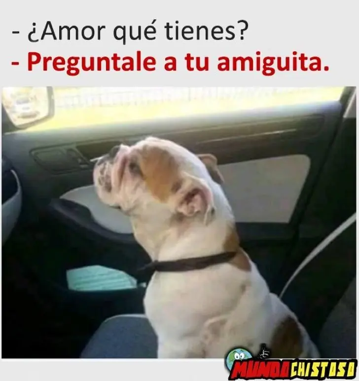 imagenes imagenes