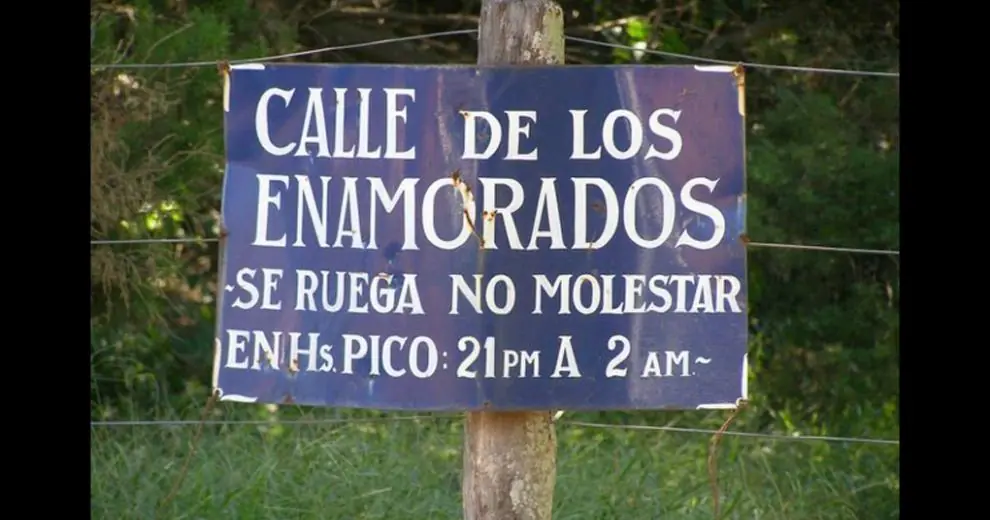 Grafico