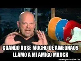 Experto En Aweonados
