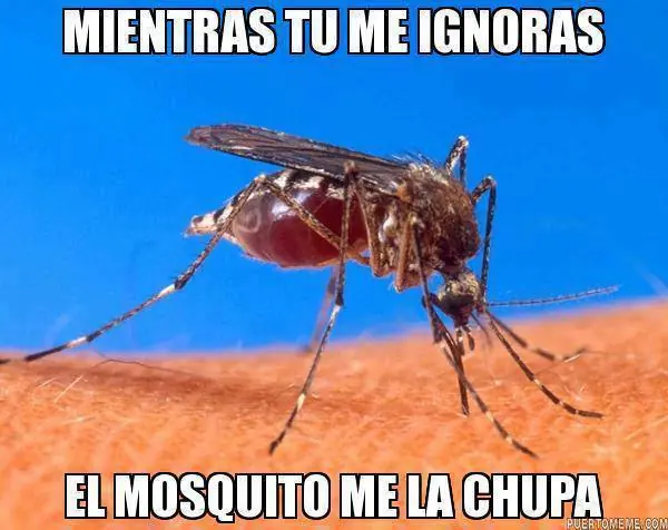 Humor...Megapost...((1))