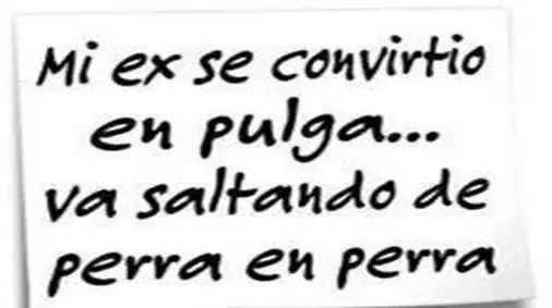Humor Grafico