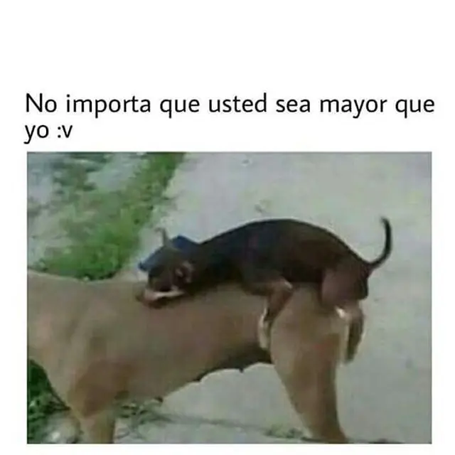 jajaja