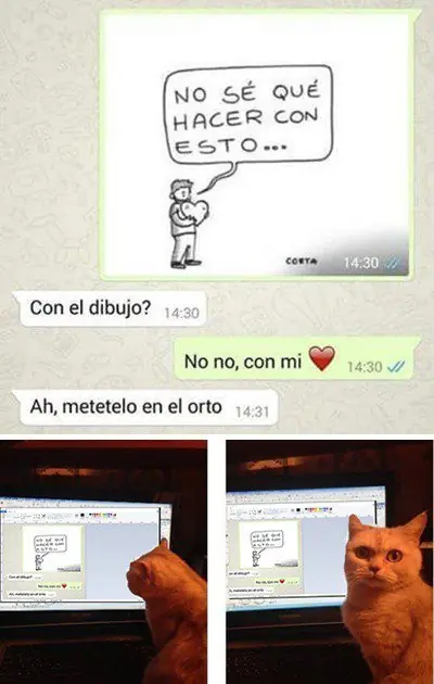 memes de taringa