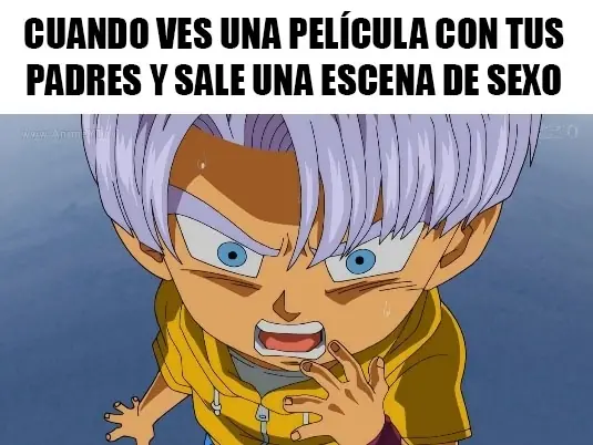 memes memes