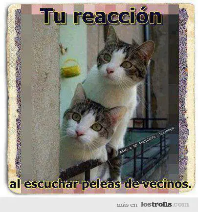 humor