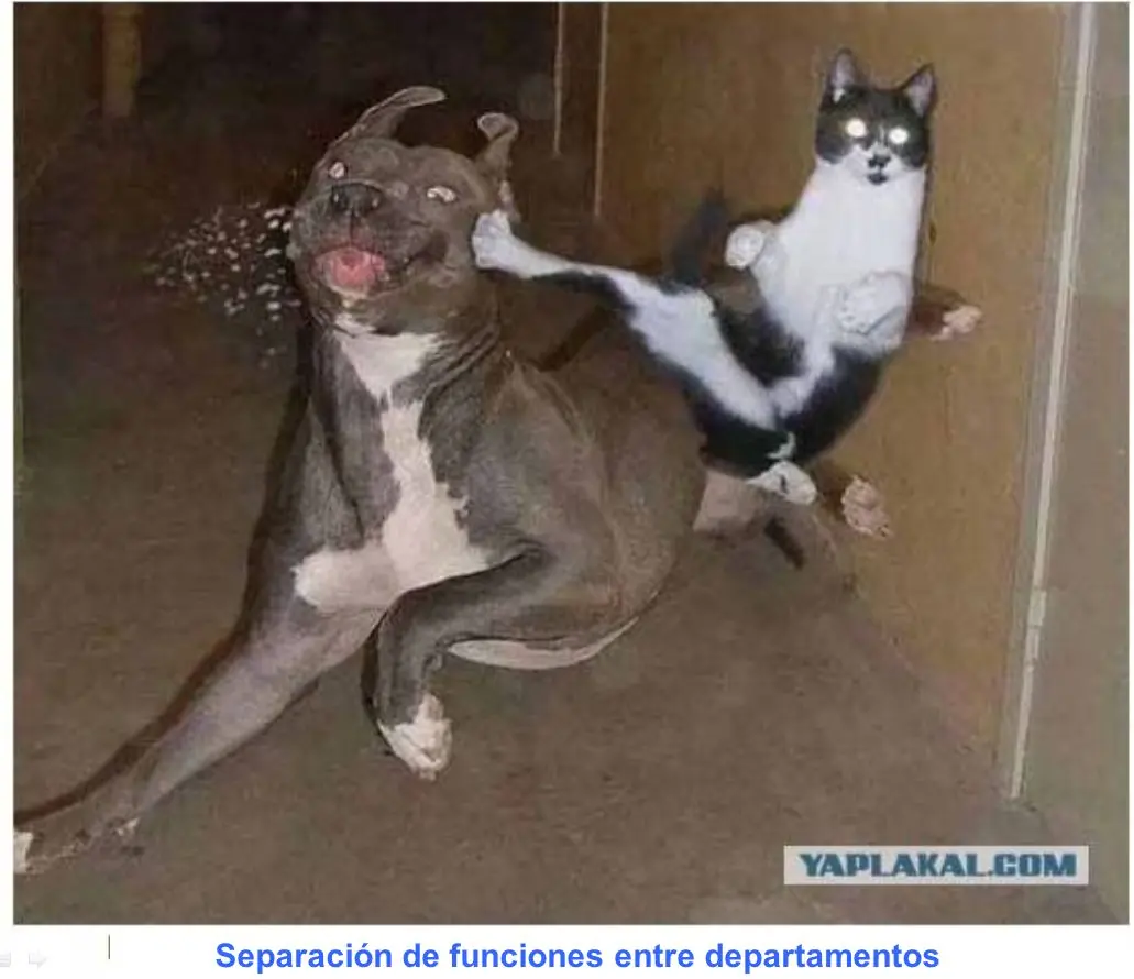Jefes
