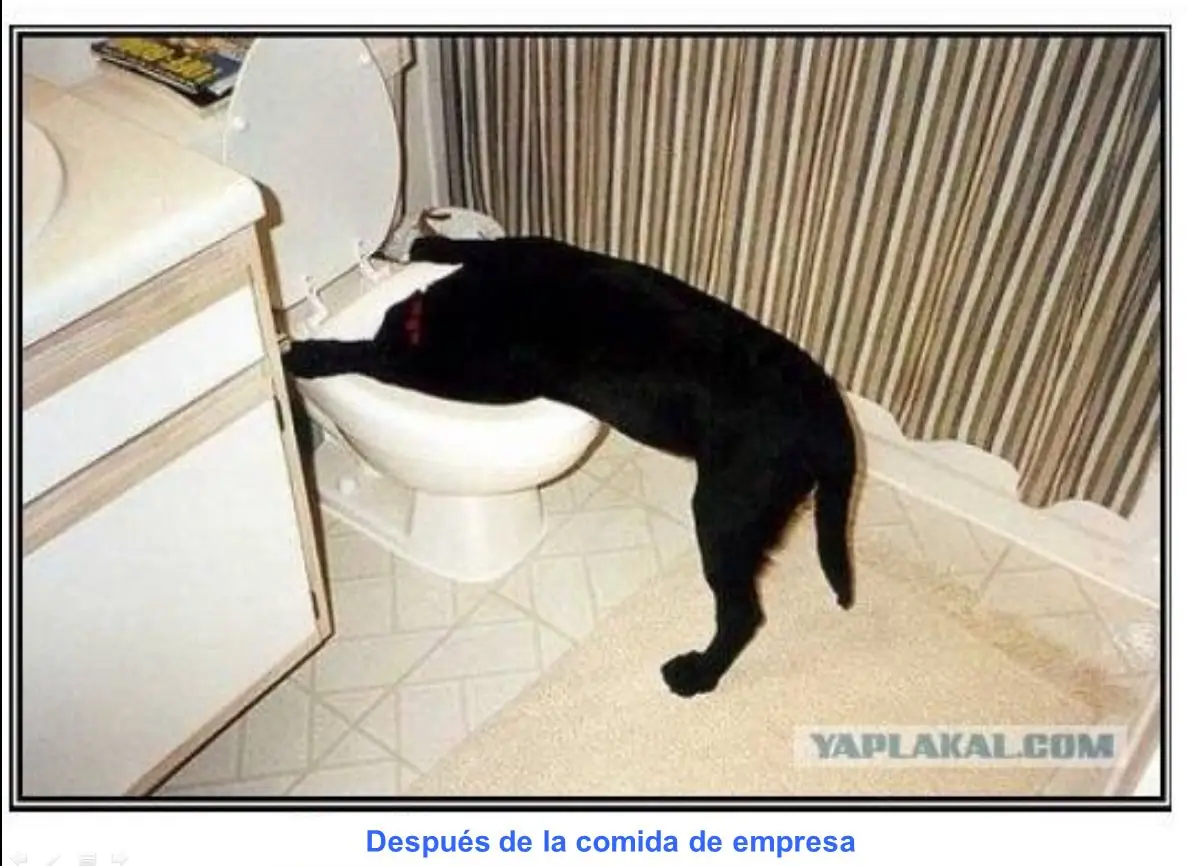 humor
