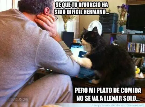 Humor Grafico