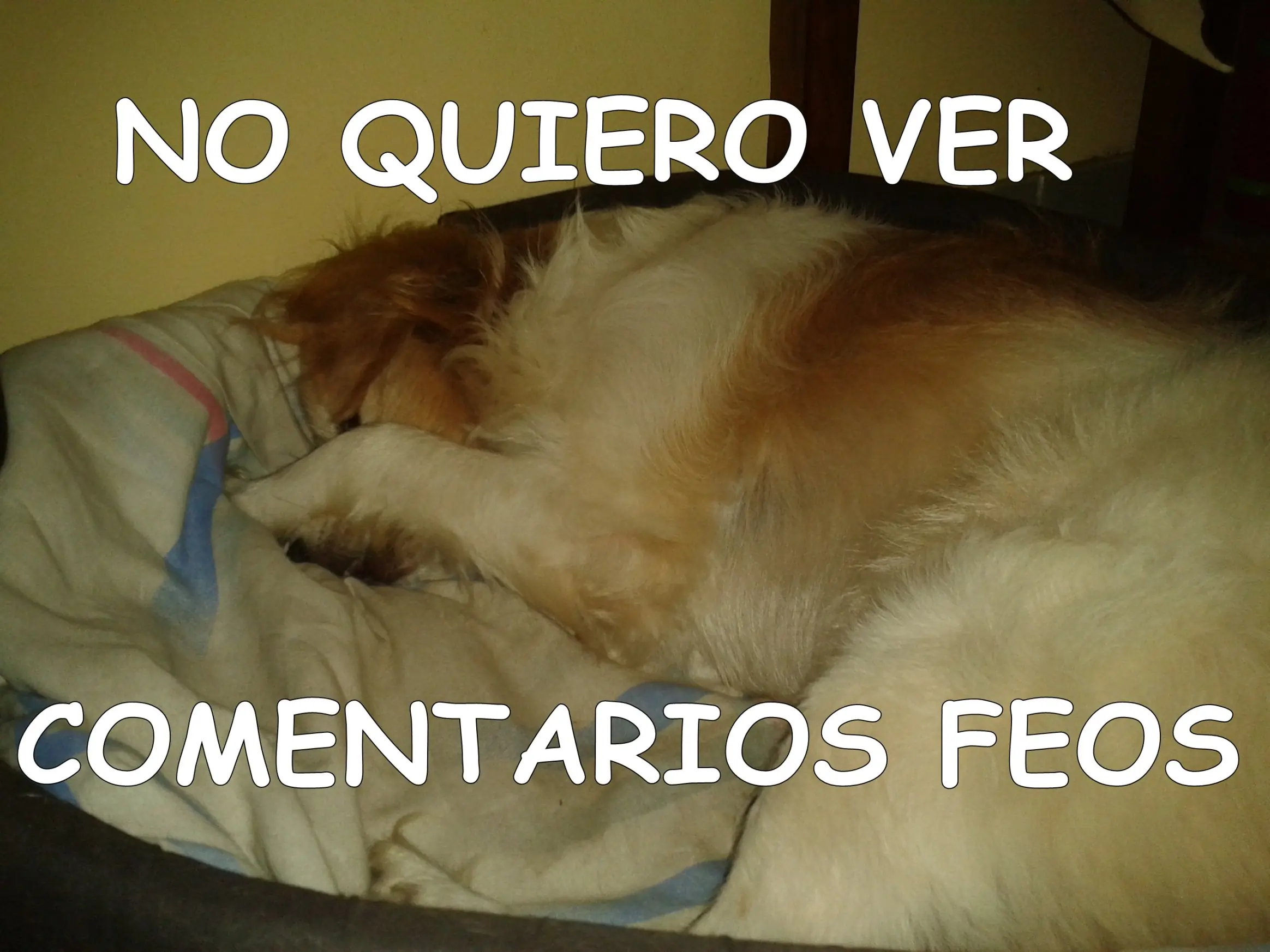perro loco