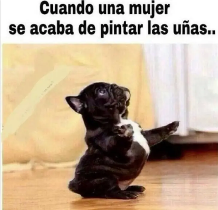 mujeres son raras mujeres son raras