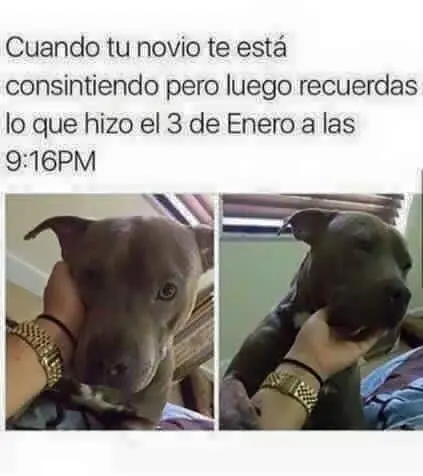 Imágenes de minas sexys y suicidas con diseños.(pásate papu)