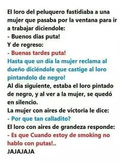 Humor +6 Si Te Gusto Alguna