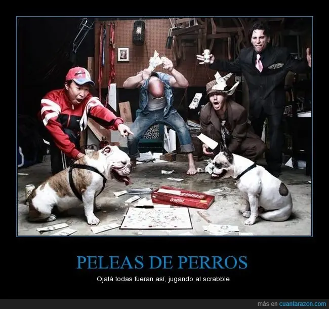 gracia gracia