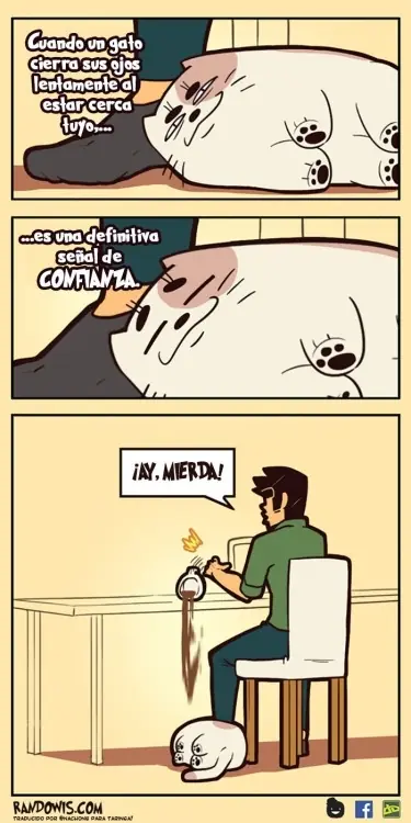 gracia gracia