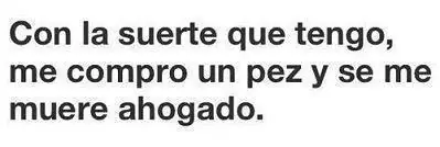 Humor Grafico