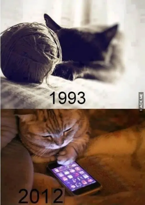 humor