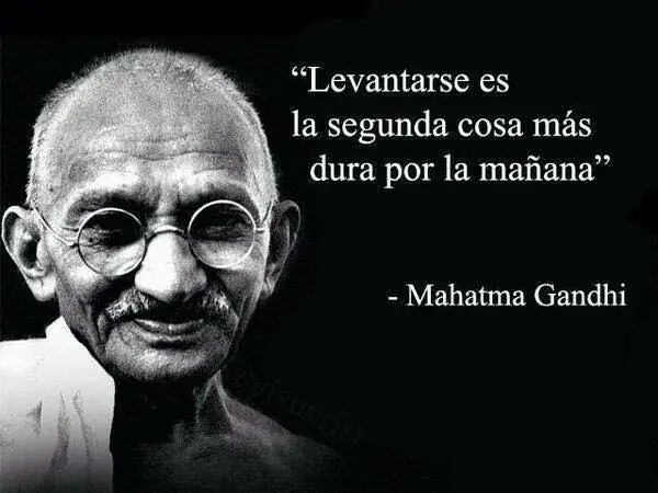 Imágenes de humor y más para los linces 8 Imágenes de humor y más para los linces 8
