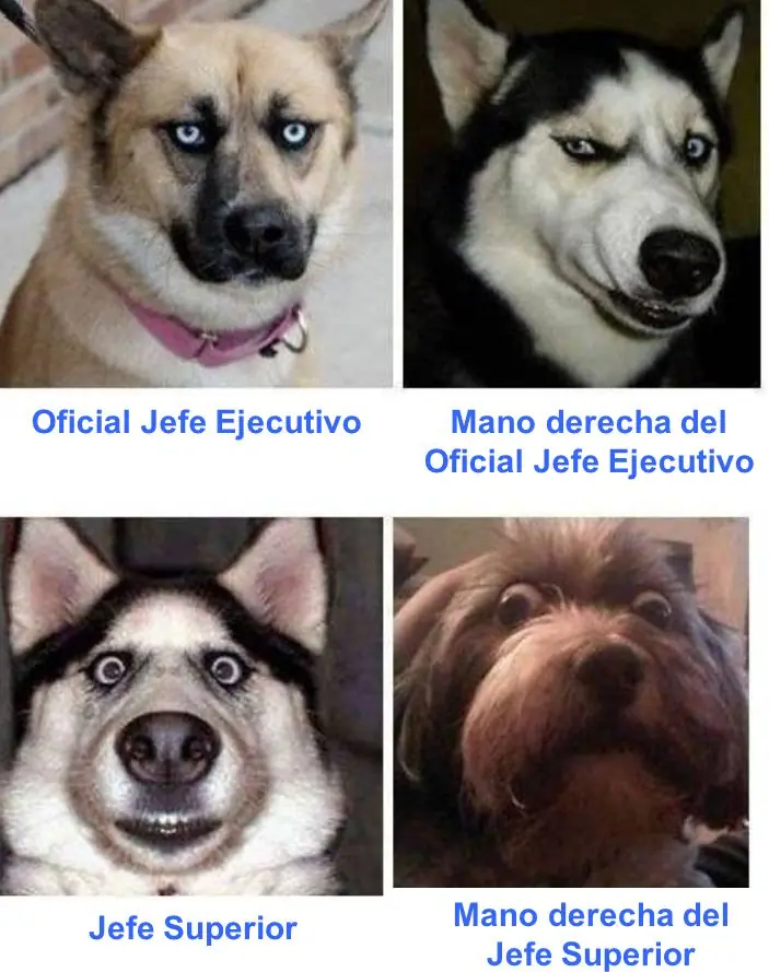 Chistes