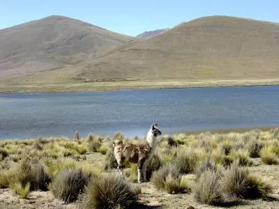 Ecorregiones Argentinas - breves + fotos