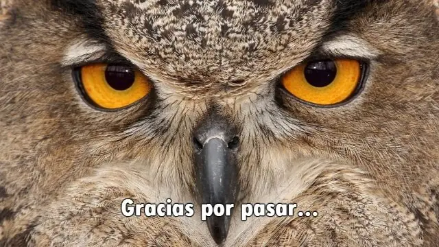 Aliados Aliados