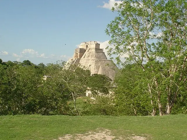 Maya