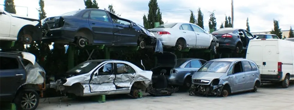mandatario automotor curso