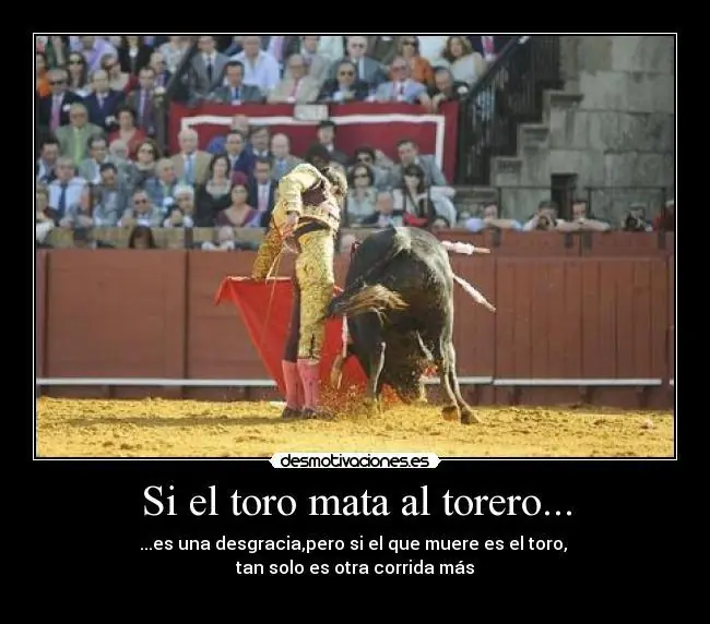 5 razones del toreo ! "matanza de toro " +10