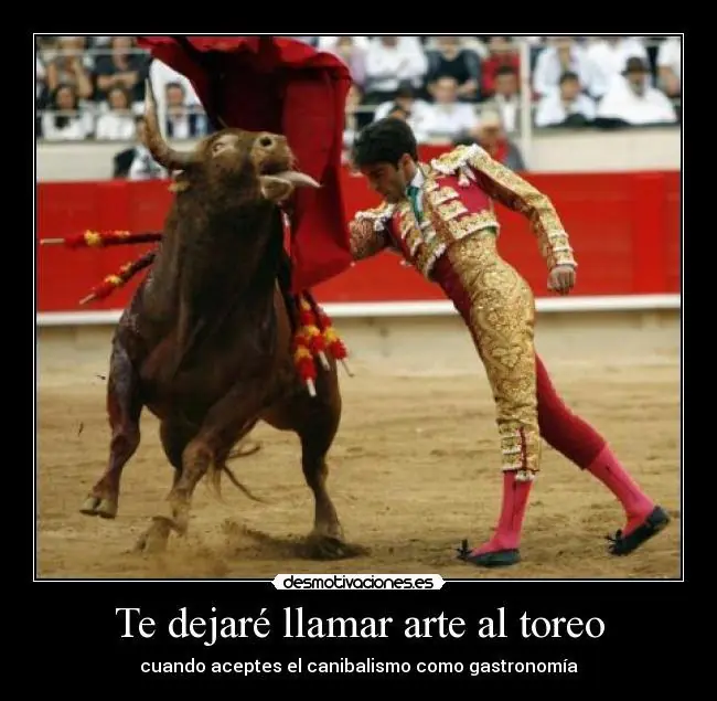 toros