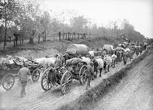 ww1 ww1