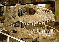 giganotosaurus