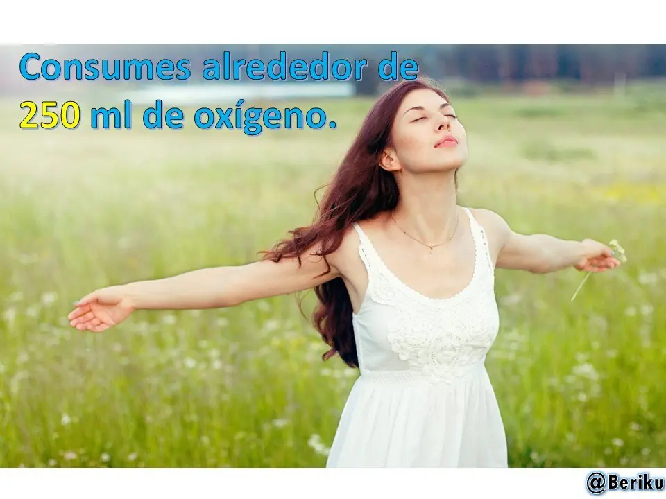 1 minuto