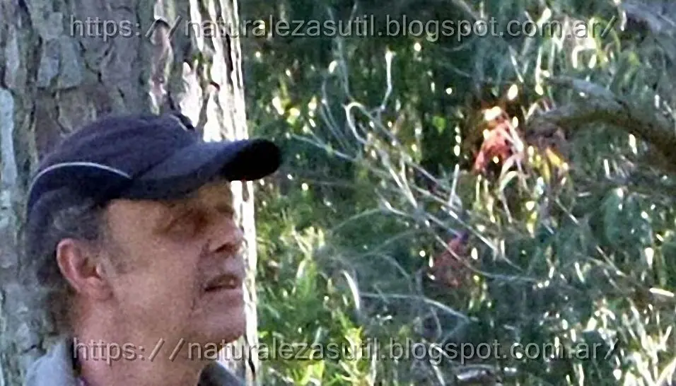 gnomos y hadas en fotografia